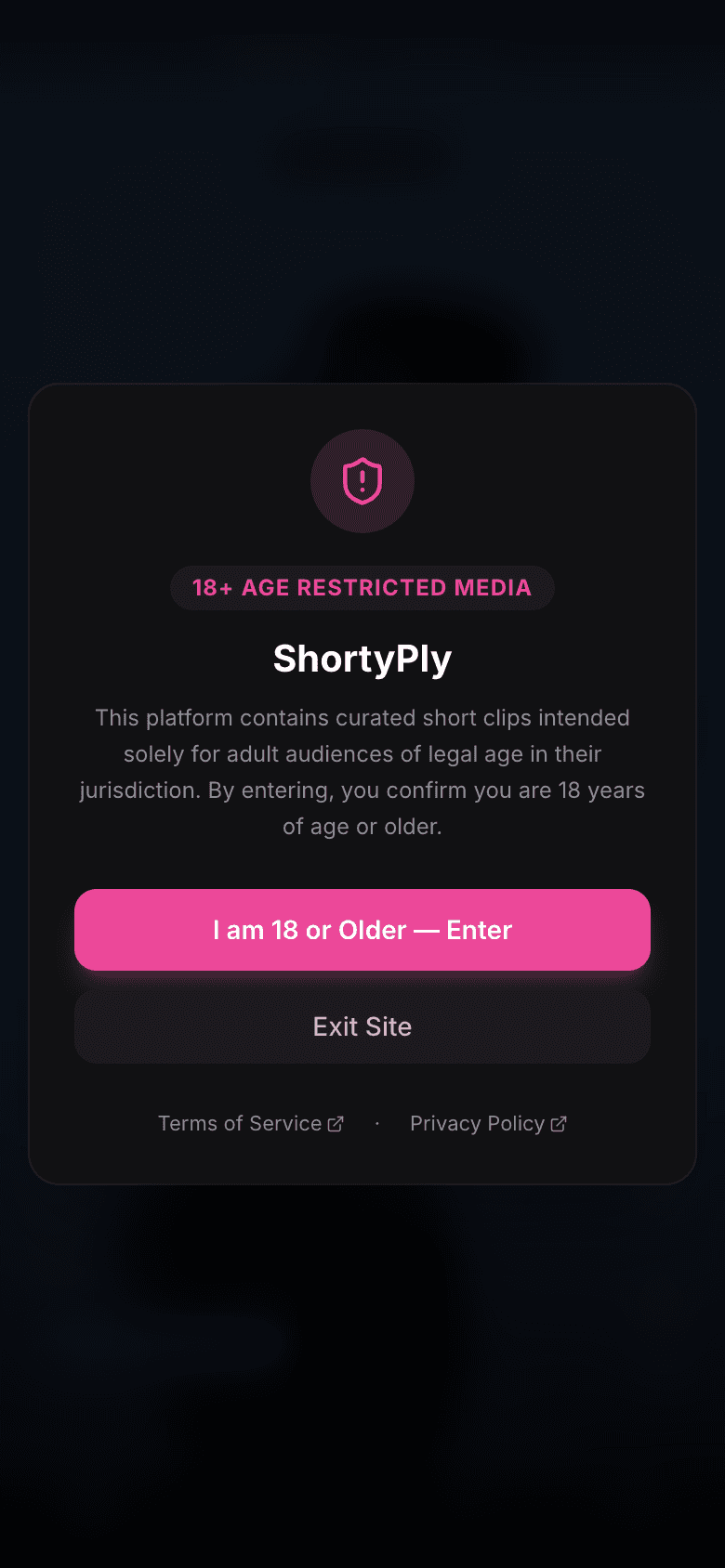 Age gate shown before any content renders